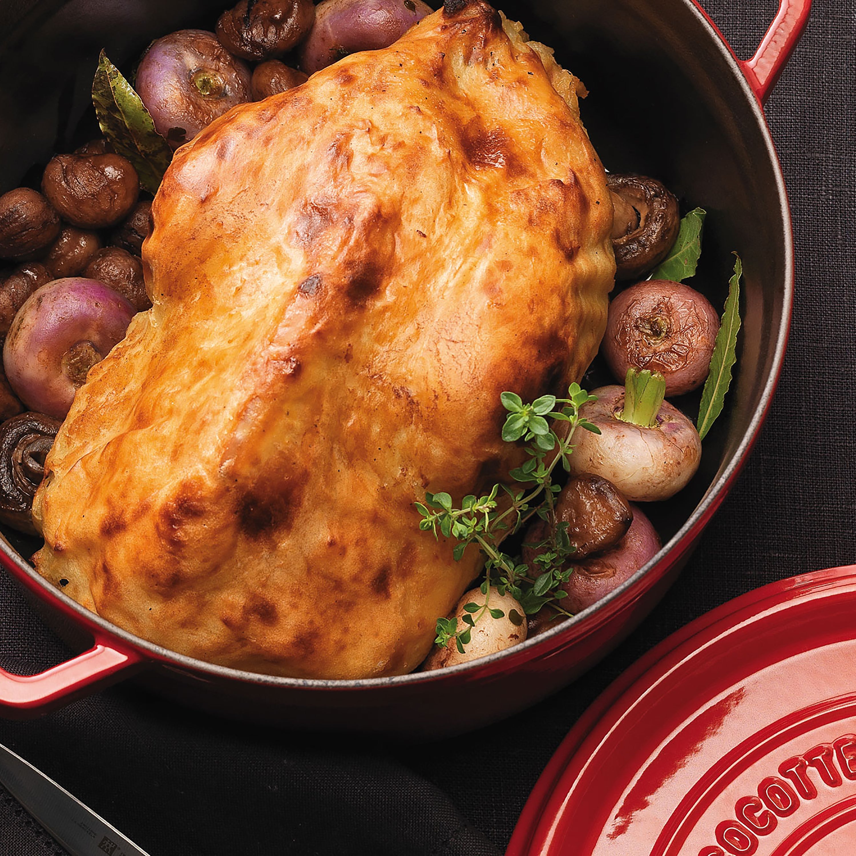 Dutch oven lid with rain-forest style spikes and stainless steel rooster knob