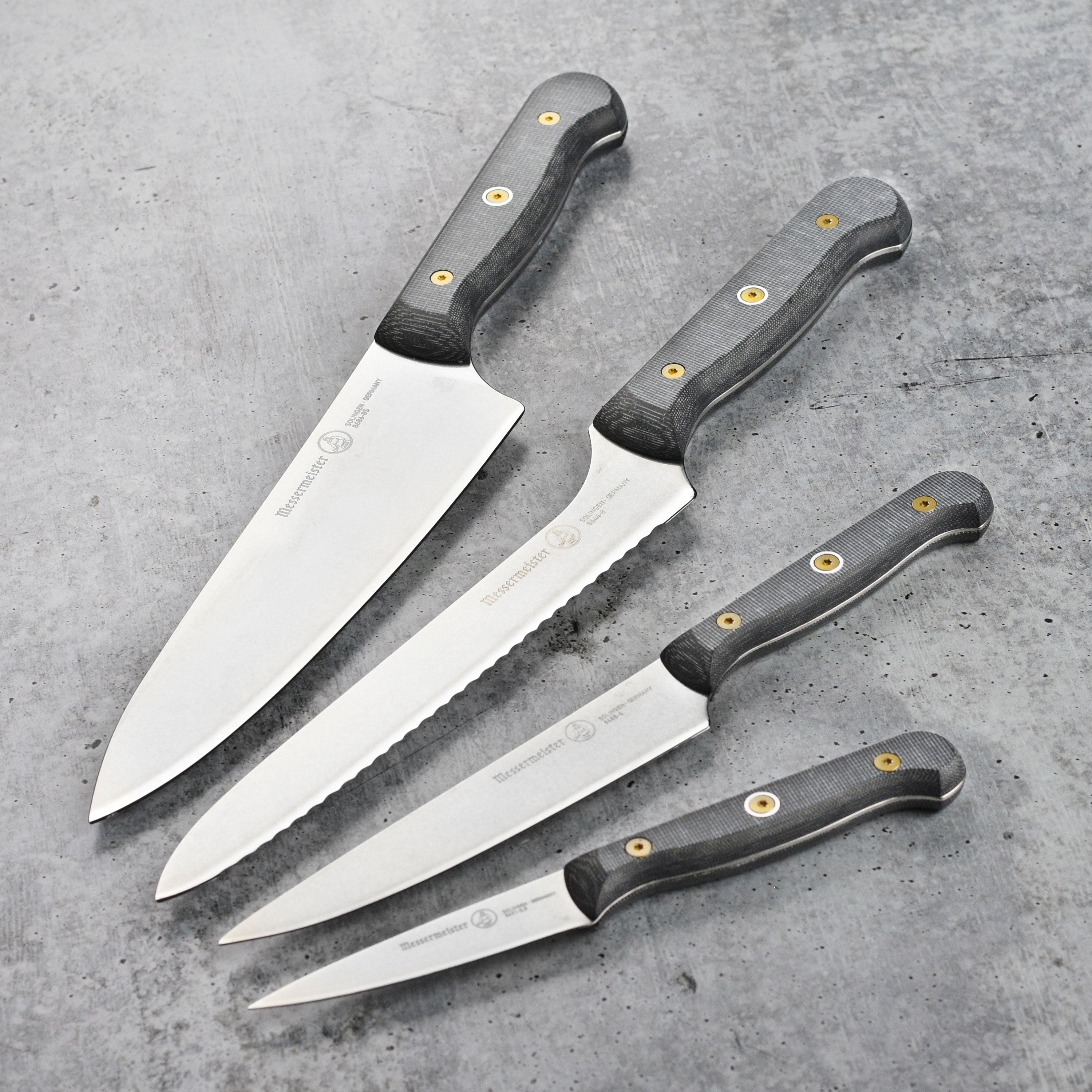 Set of five professional kitchen knives in a stylish knife block