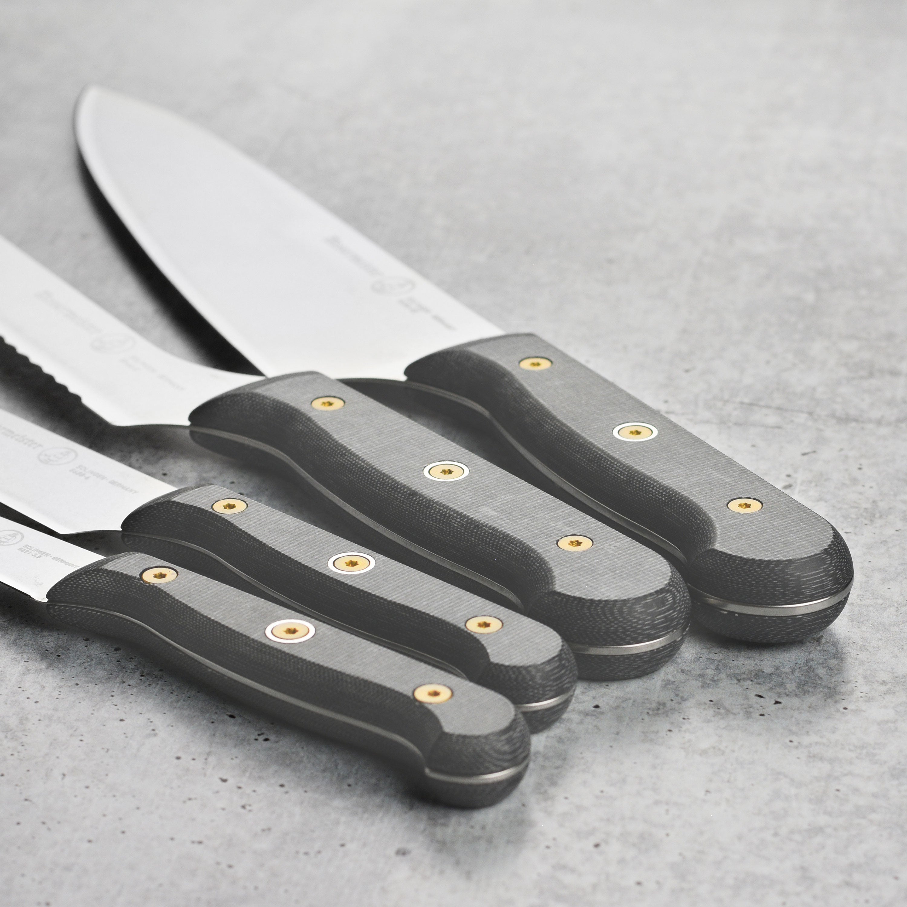 Set of five professional kitchen knives in a stylish knife block