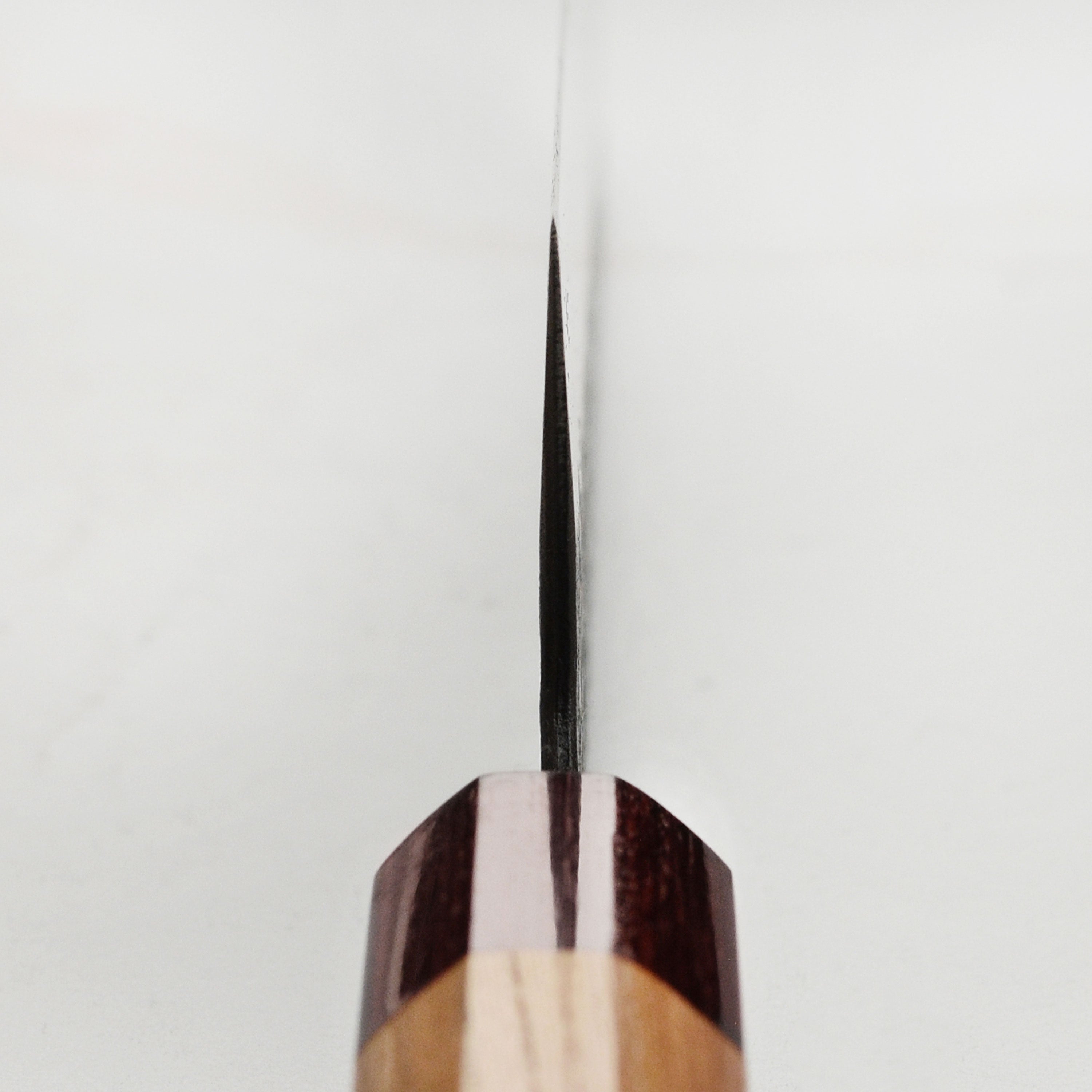 The Takayuki Aogami Kiritsuke knife displayed with fresh ingredients for a cooking setup.