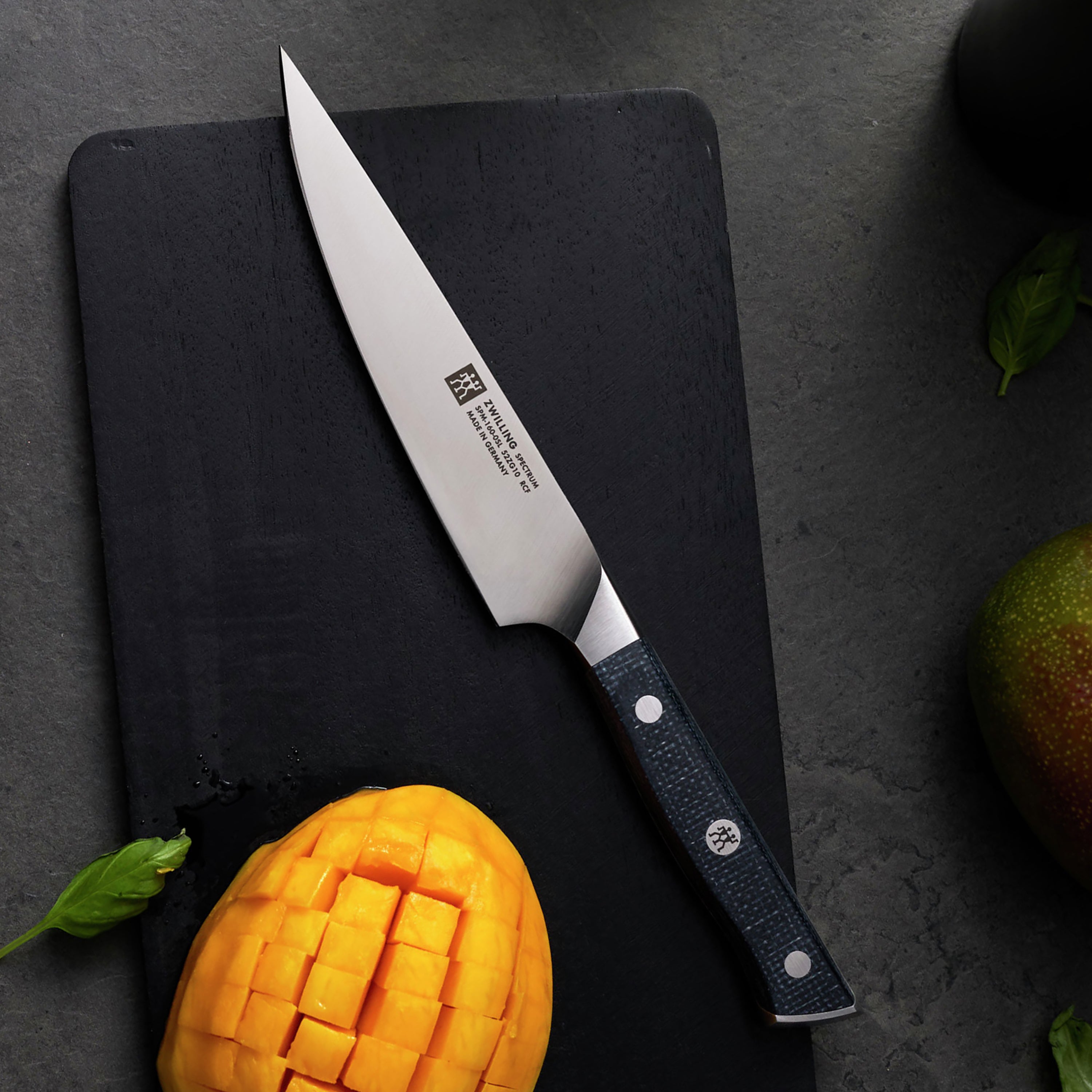 Detailed view of Zwilling high carbon steel knife blade and triple-rivet handle design