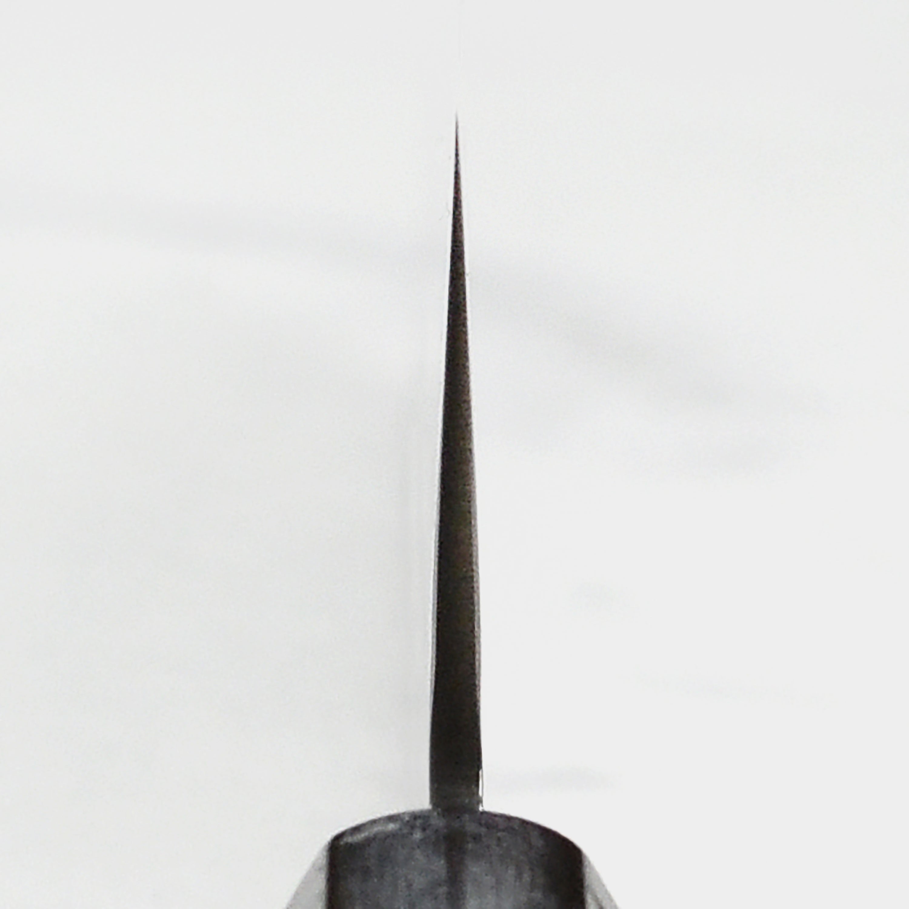 Angle view of Sakai Takayuki 7.5" Kiritsuke Gyuto highlighting its sharp blade and ergonomic ebony handle.