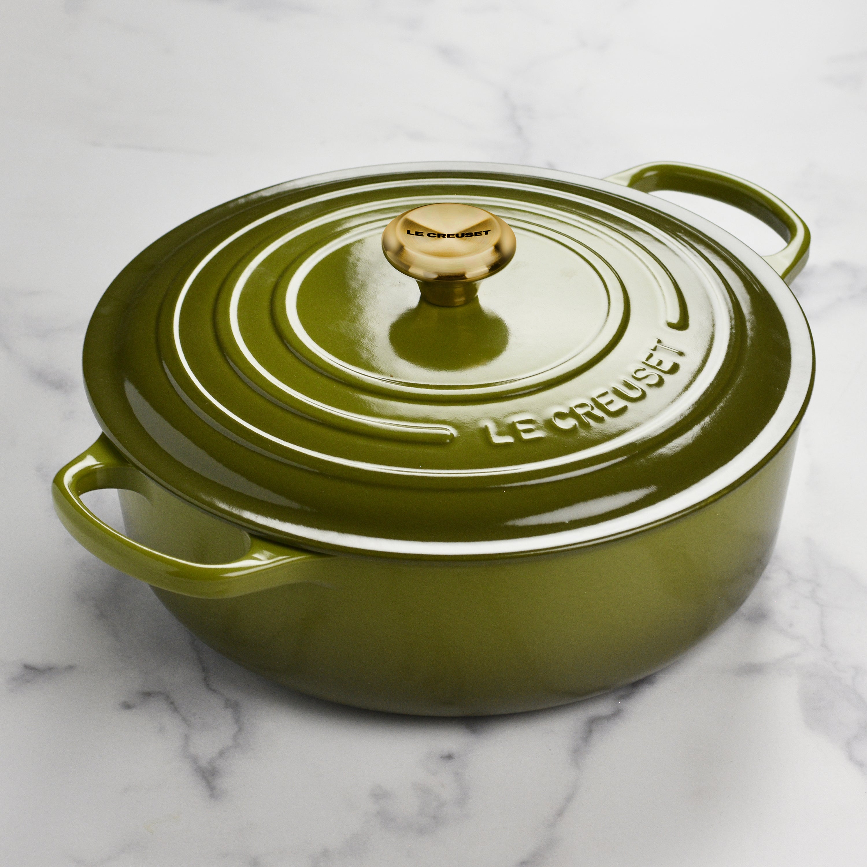 Wide view of the professional cast iron Dutch oven with lid on, ready for baking.
