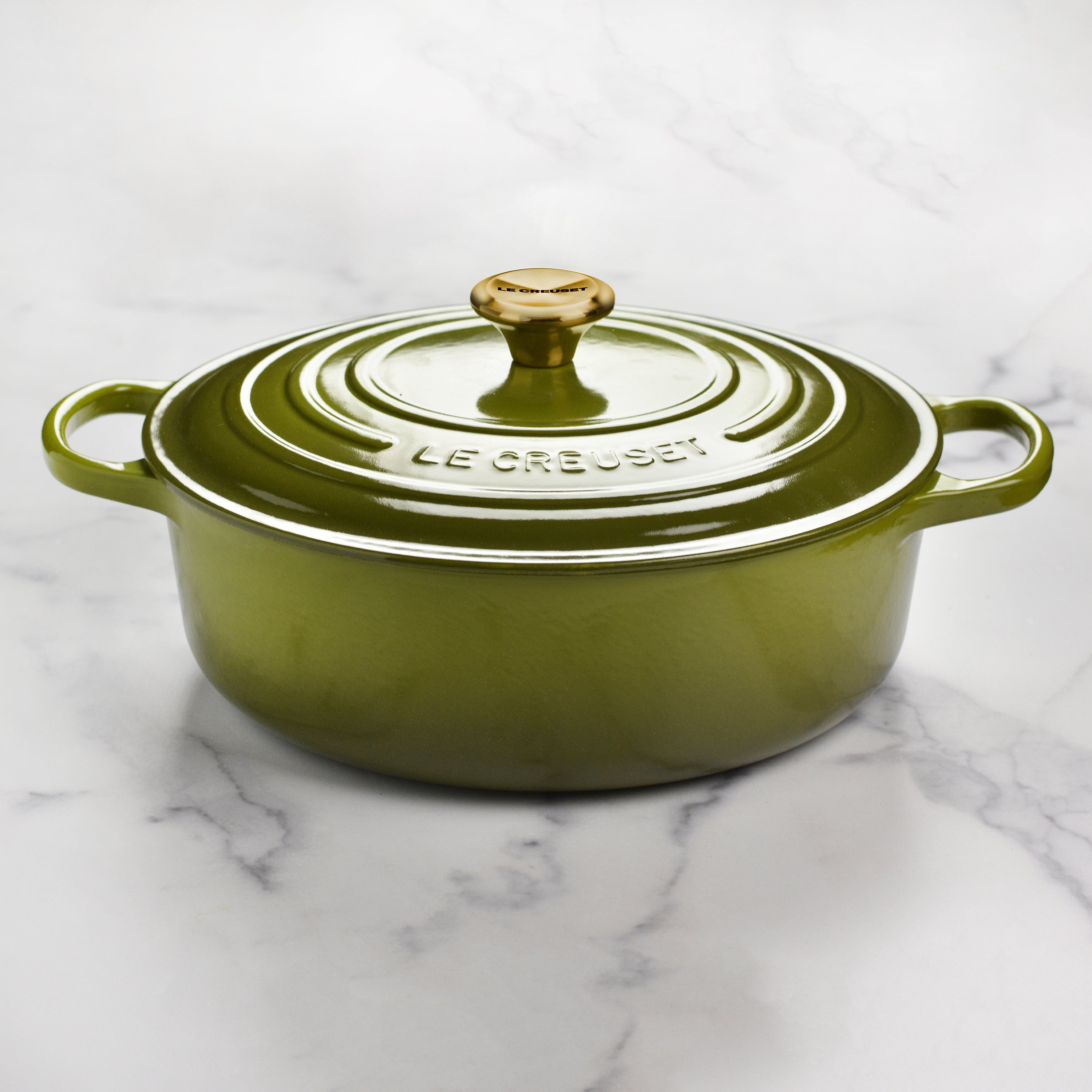 Close-up of the durable enamel finish and wide-loop handles of the Dutch oven.