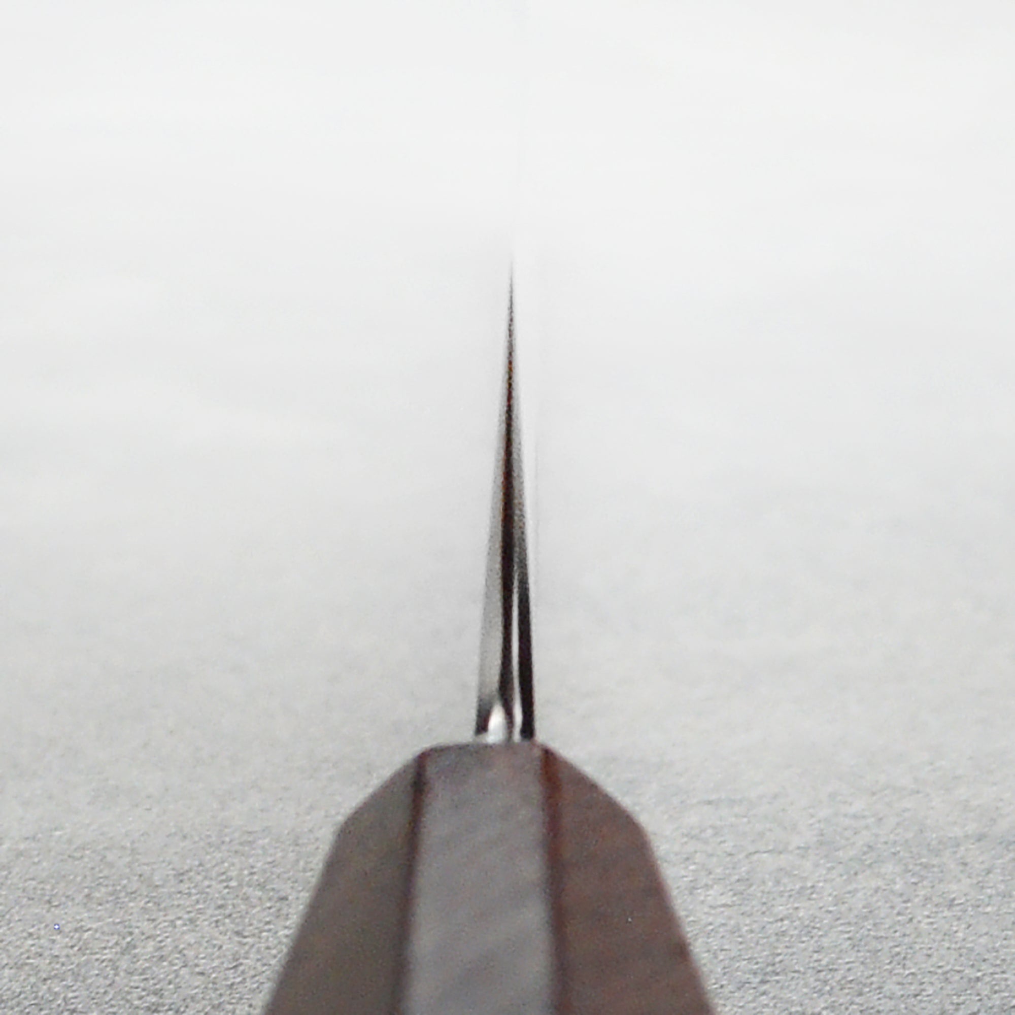 Close-up of the sharp edge of the professional kitchen knife made from SG2 steel