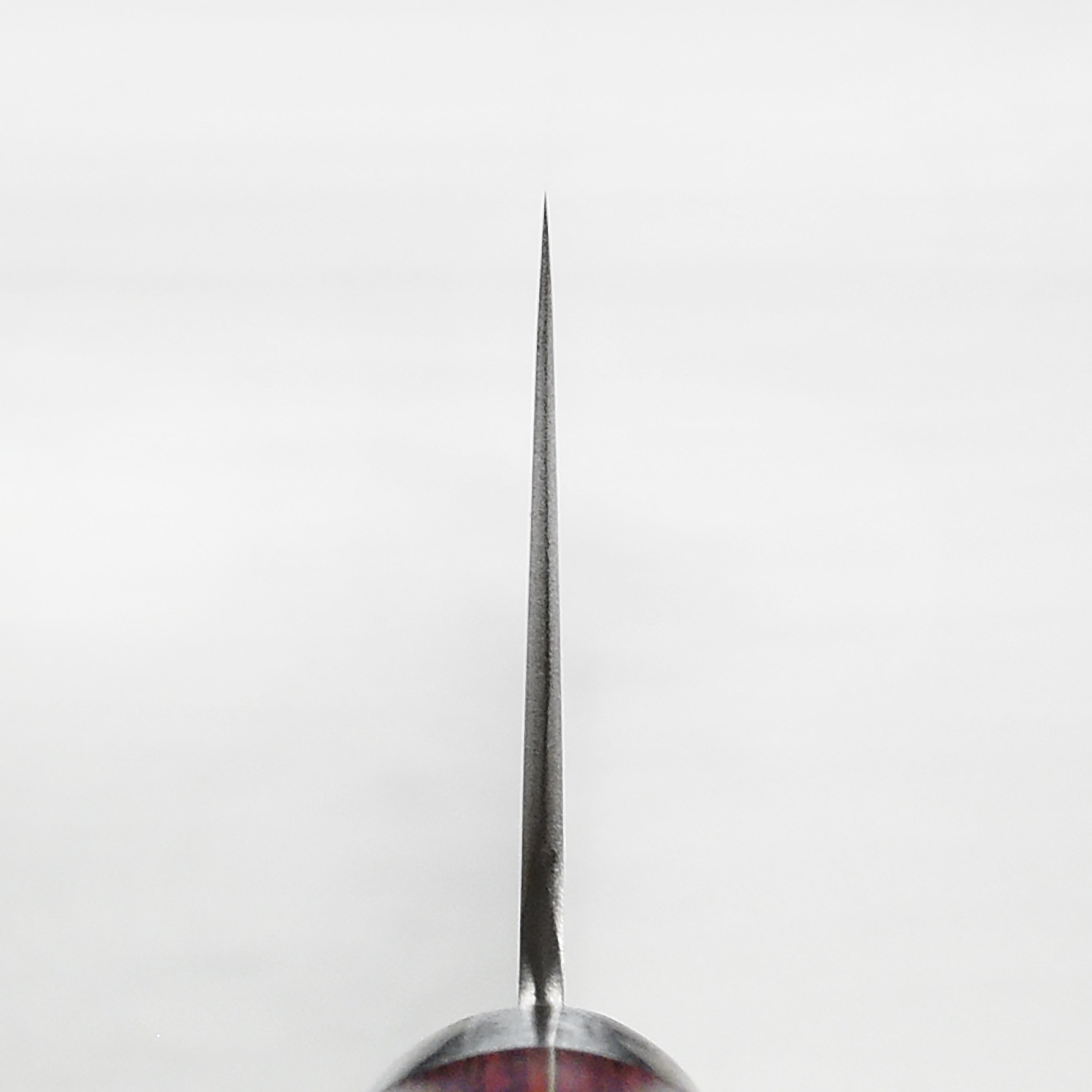 Close-up of the Takamura SG2 Gyuto knife highlighting its elegant handle and craftsmanship