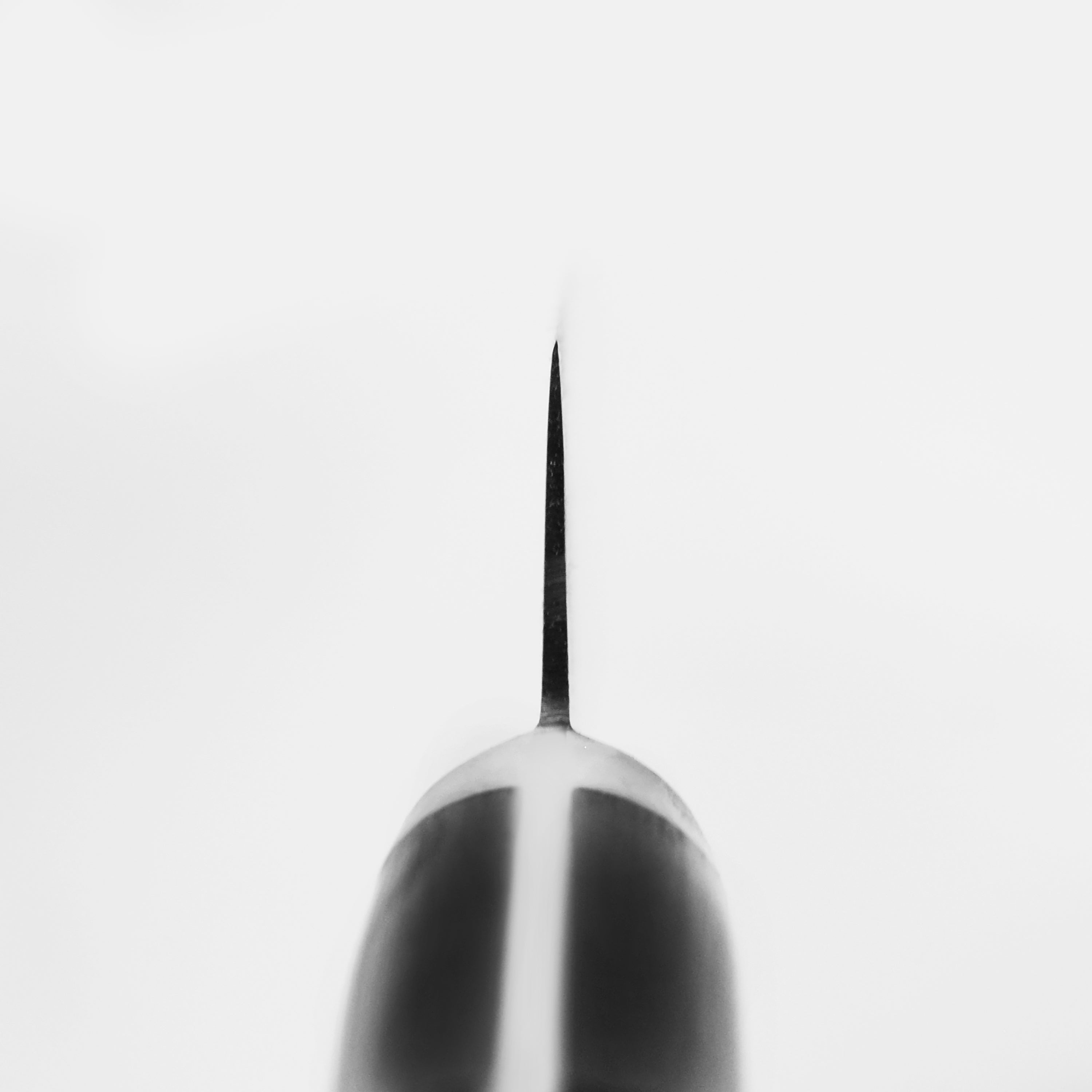 Close-up of the Misono Swedish carbon steel petty knife highlighting the sharp blade and Pakkawood handle.