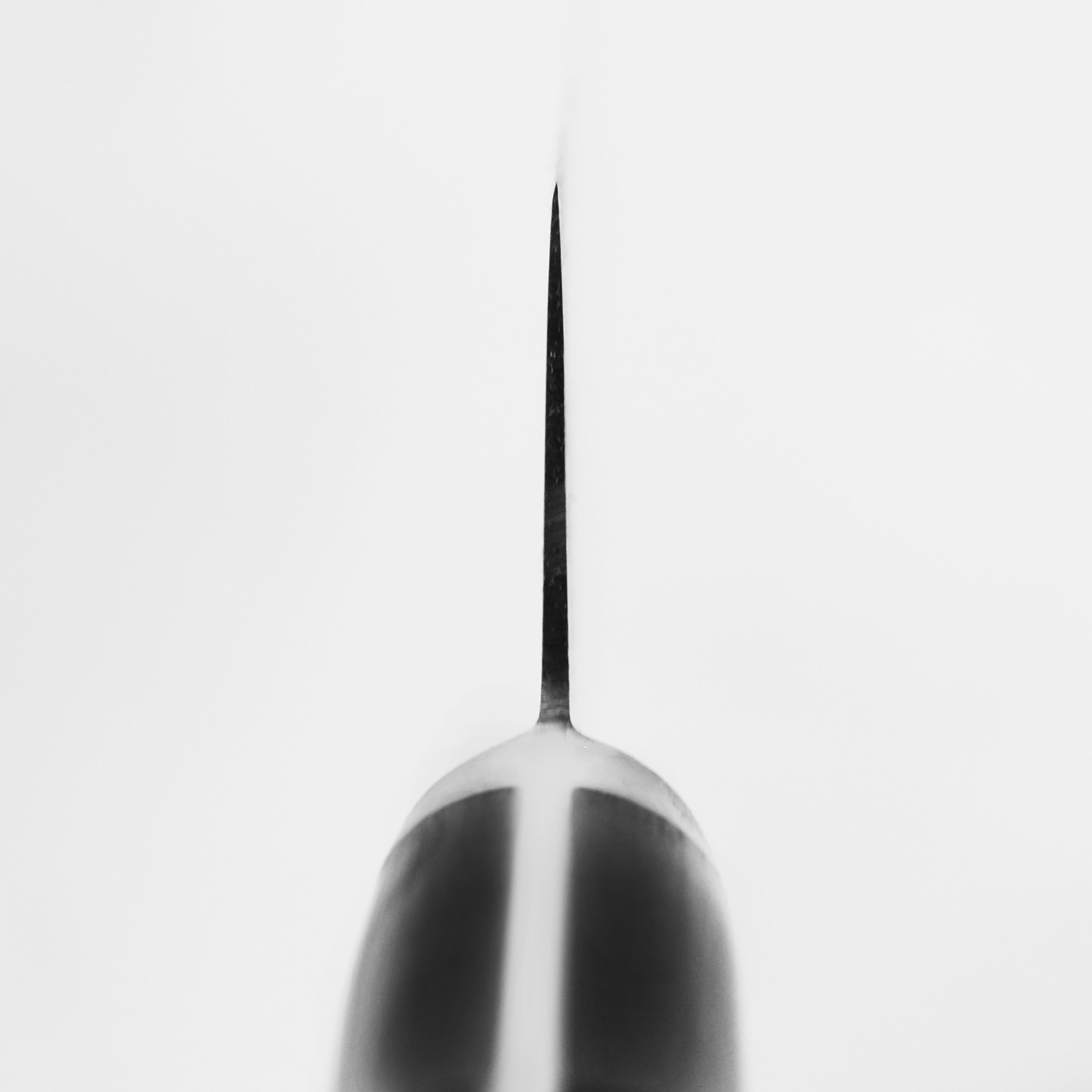 Front view of the Misono Gyuto showcasing its craftsmanship and blade details