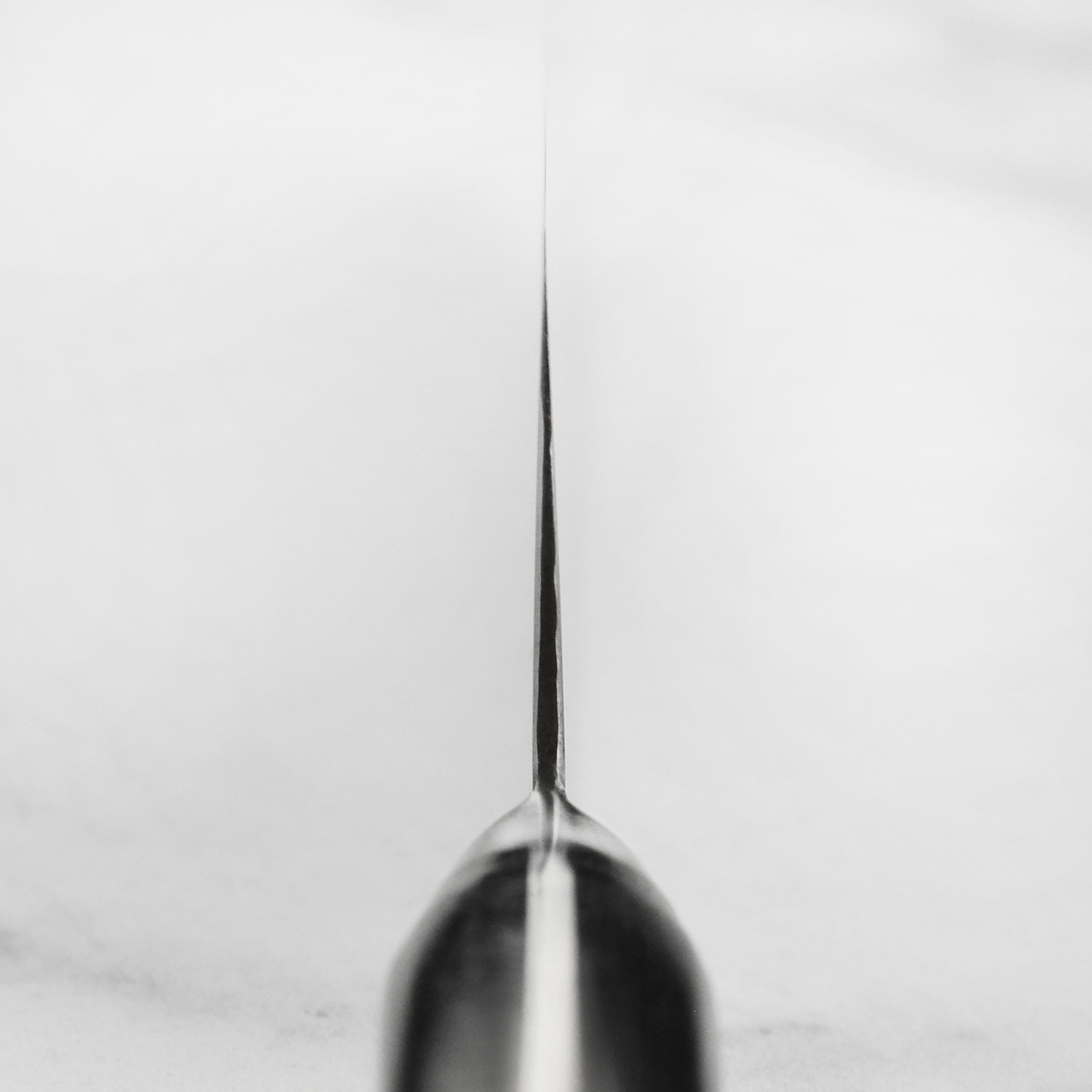 Detail of the Senzo Elite SG2 Santoku Knife showing the high-carbon blade and ergonomic handle.