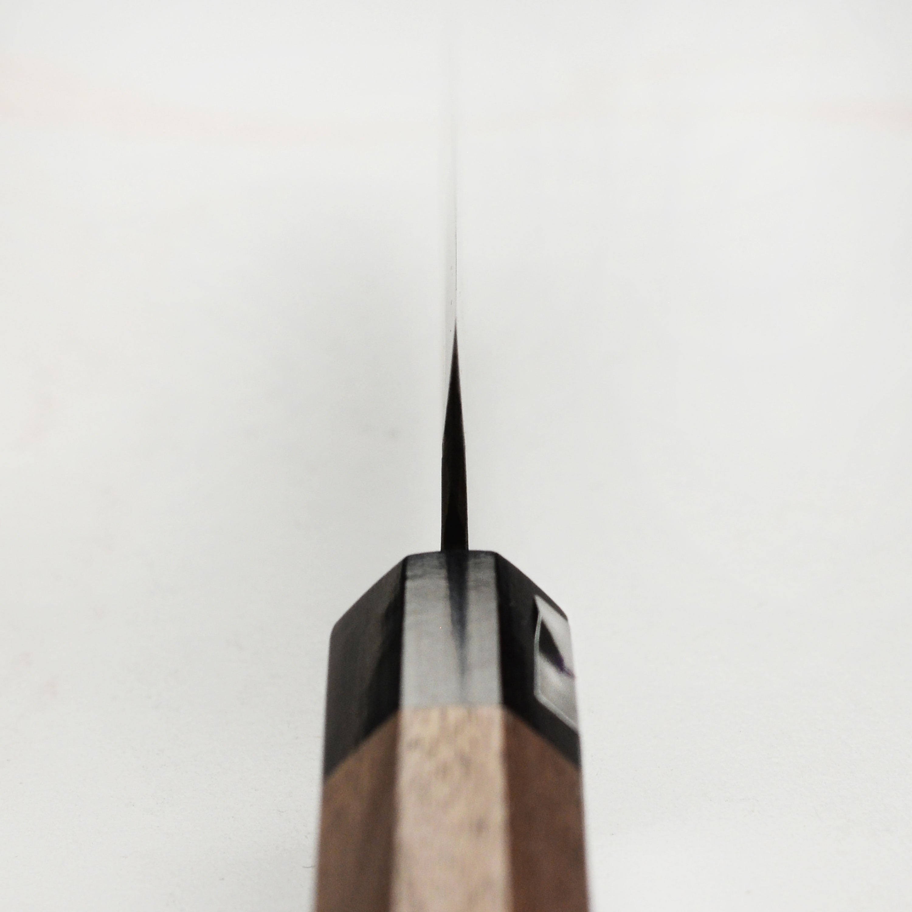 Close-up view of the Moritaka 5" Aogami #2 petty knife highlighting the hand-forged blade and walnut handle.