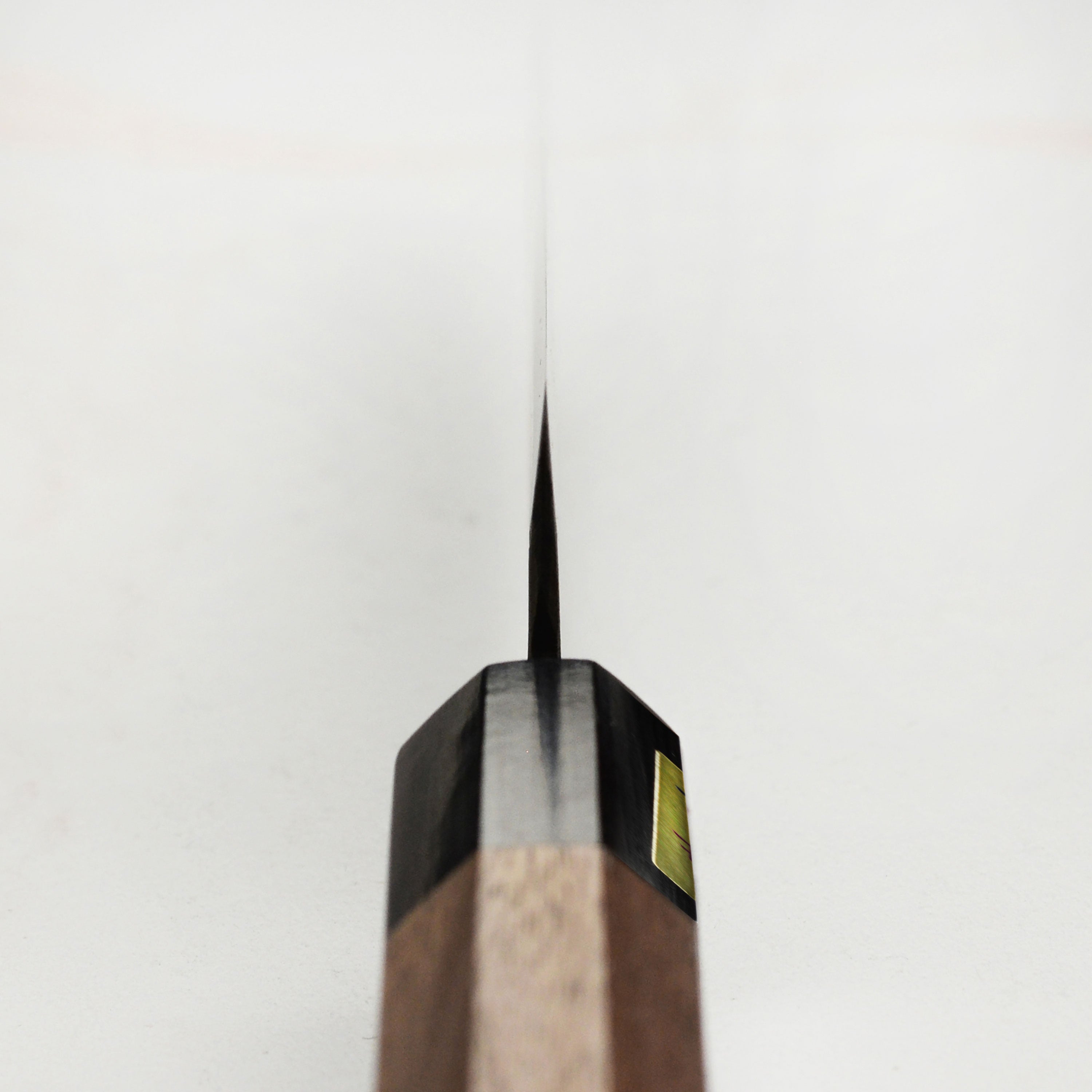 Front view of Moritaka Aogami Super petty knife showing sharp blade and handle