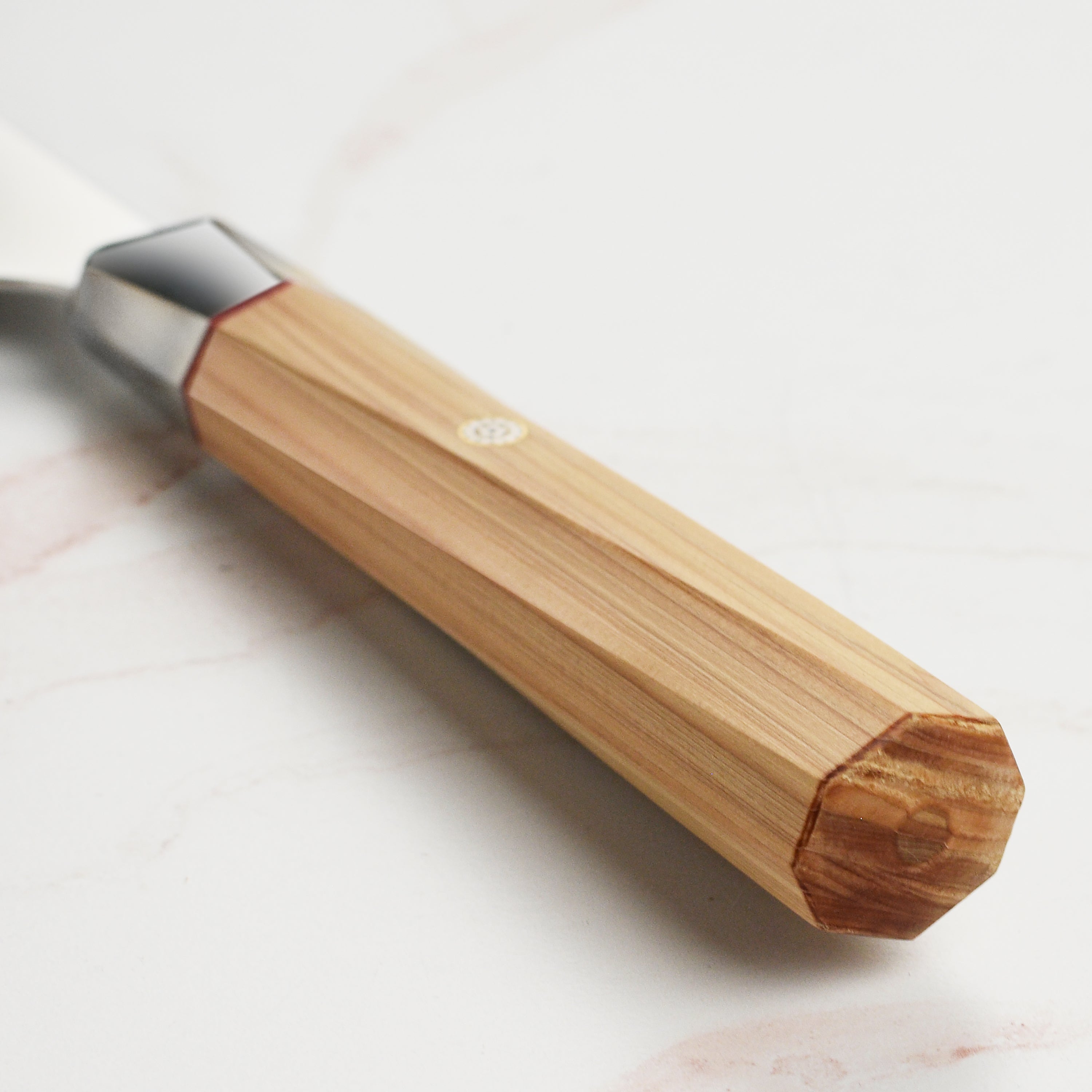 Close-up of the Aogami Steel Master knife blade highlighting the Aogami Super steel and craftsmanship.