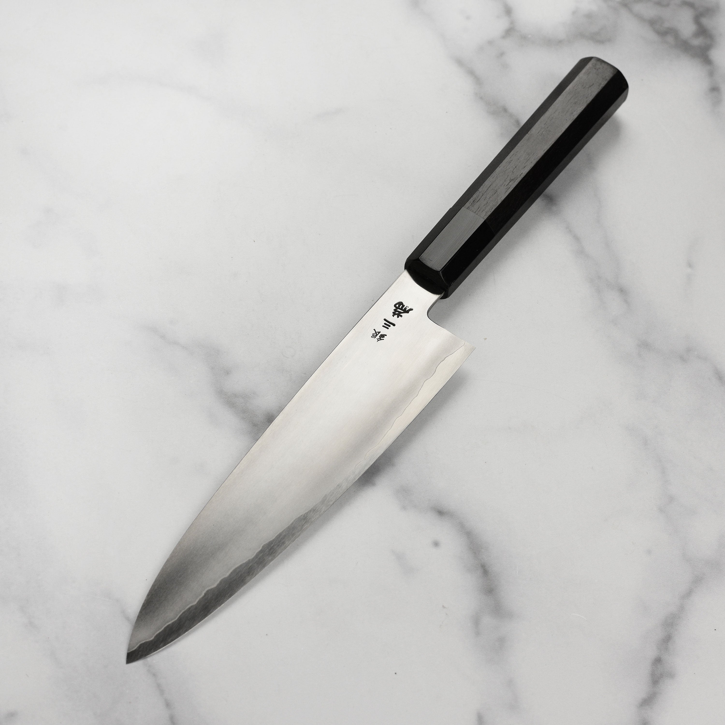Hand-forged Takayuki Ginsan gyuto knife displayed with culinary ingredients.