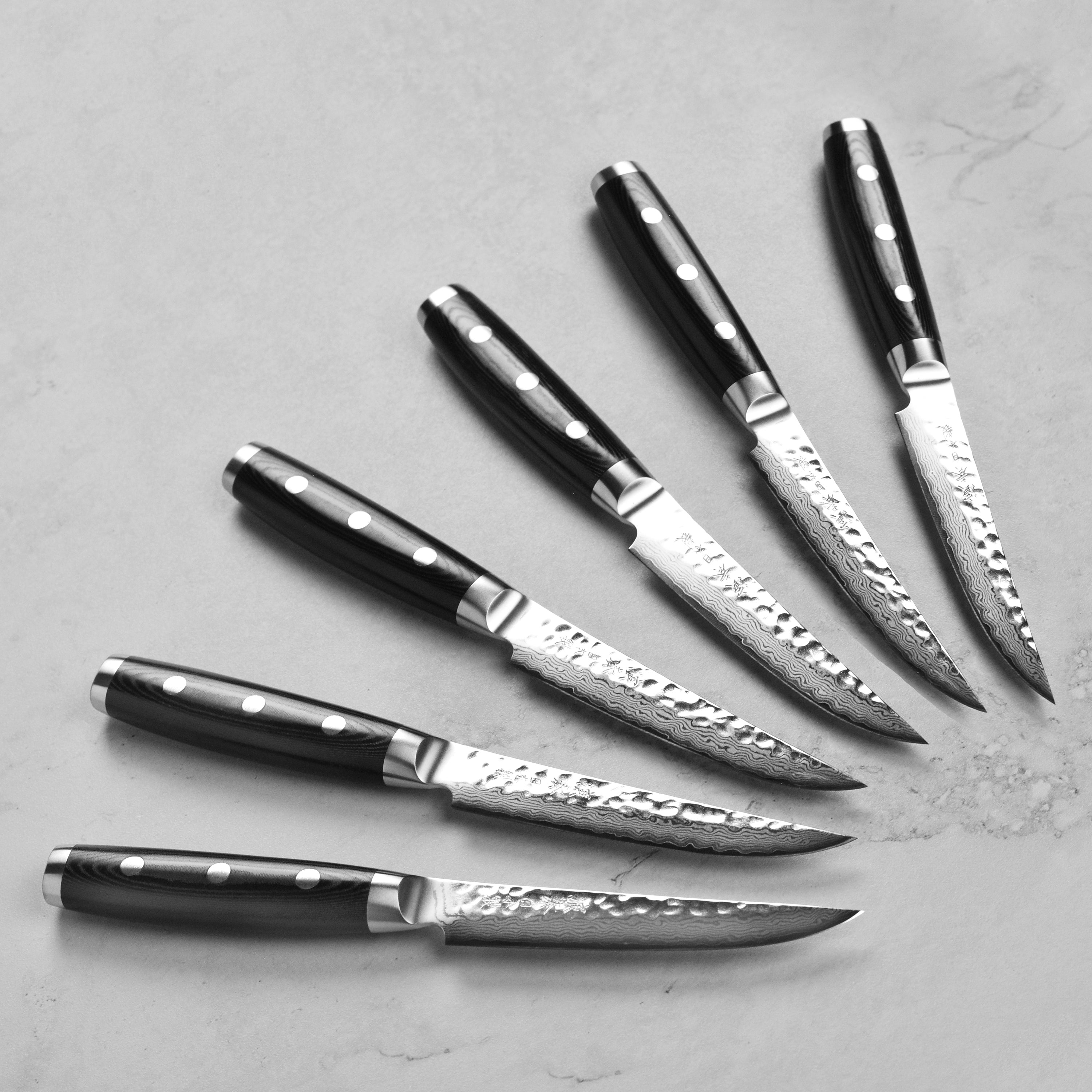 Japanese premium steak knife set with case, ideal for home chefs