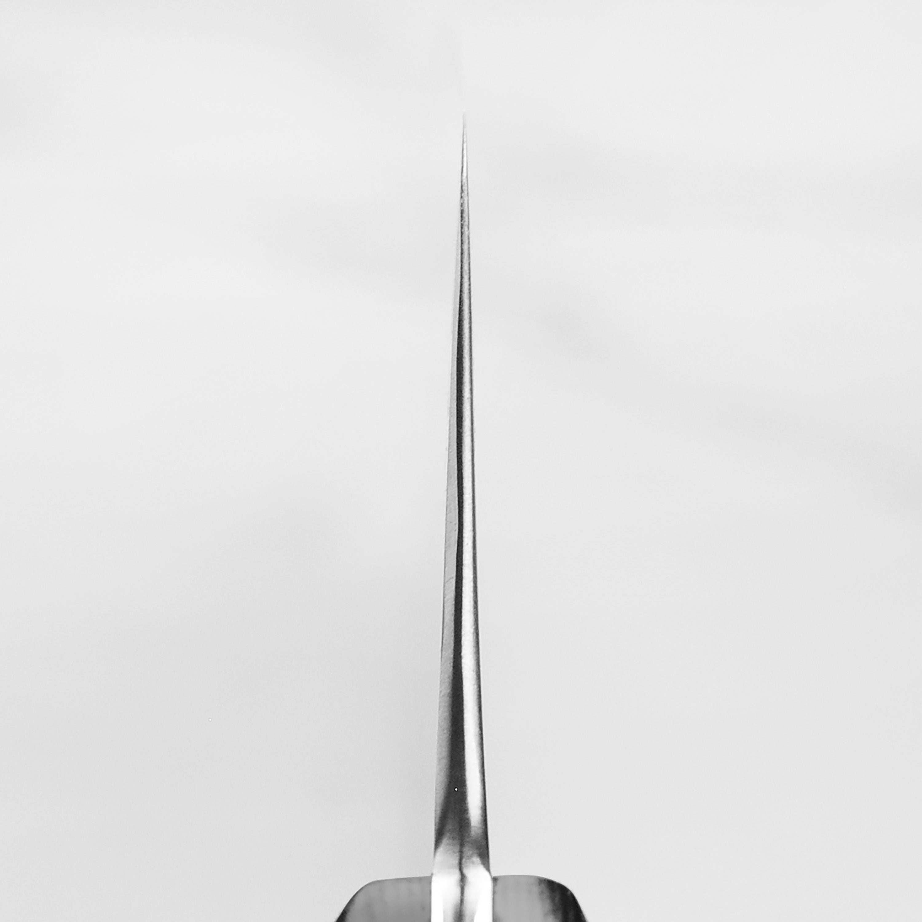 Side view of Narukami ProEdge 8" chef knife showing carbon steel blade and micarta handle