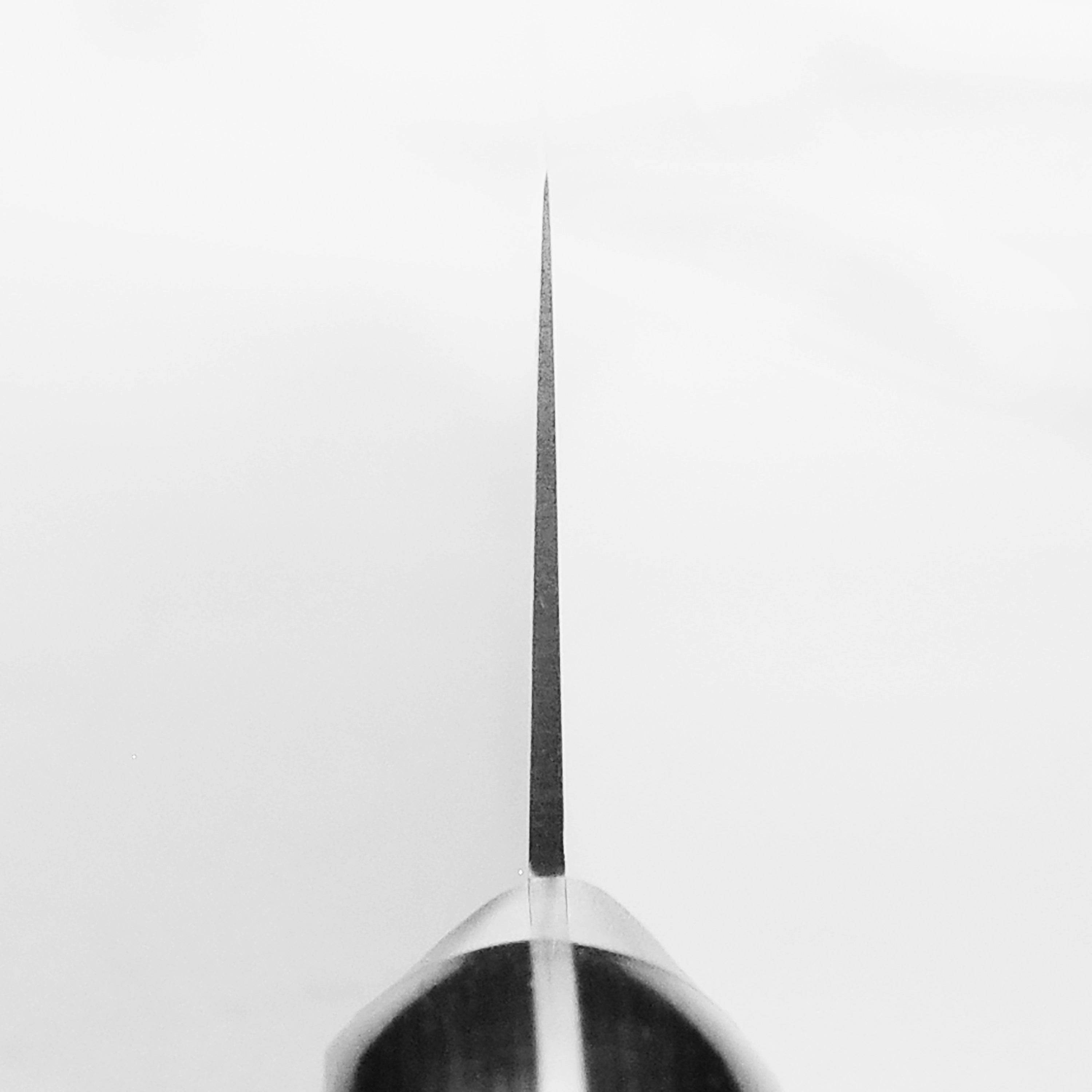 Misono UX10 gyuto knife in action, slicing through fresh vegetables with precision.