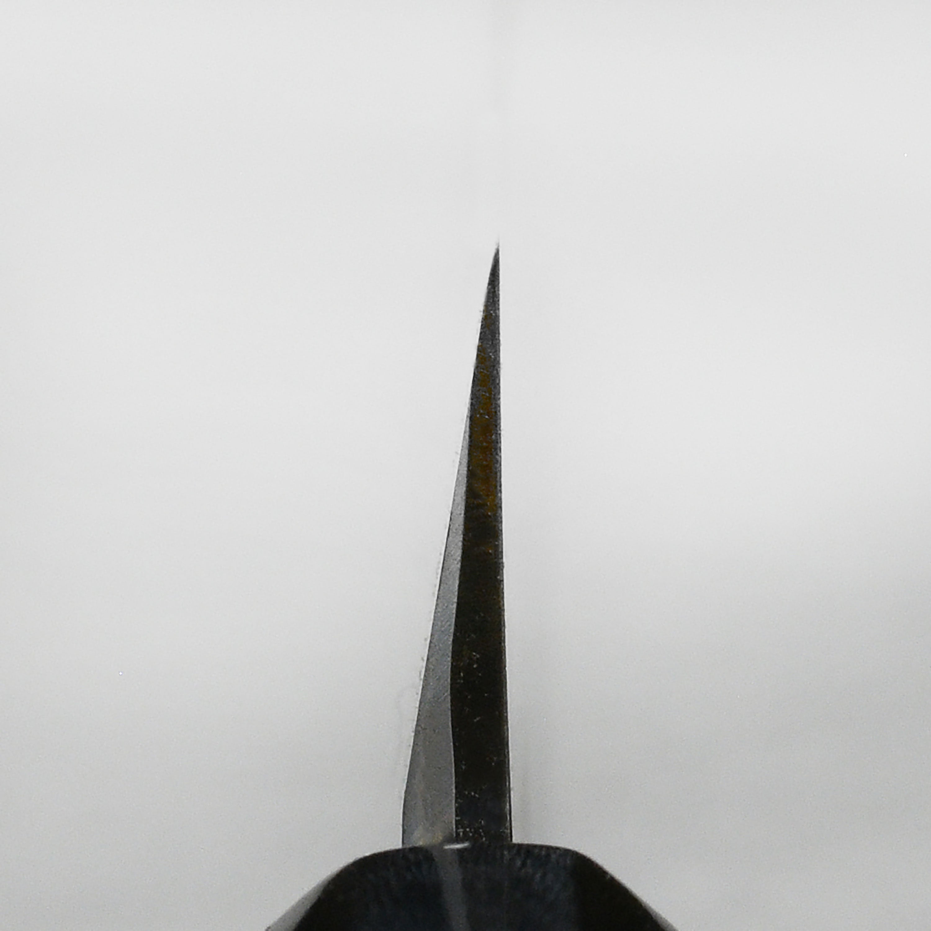 Close-up of the blade of the Takohiki knife displaying its sharp edge and Shirogami steel finish.