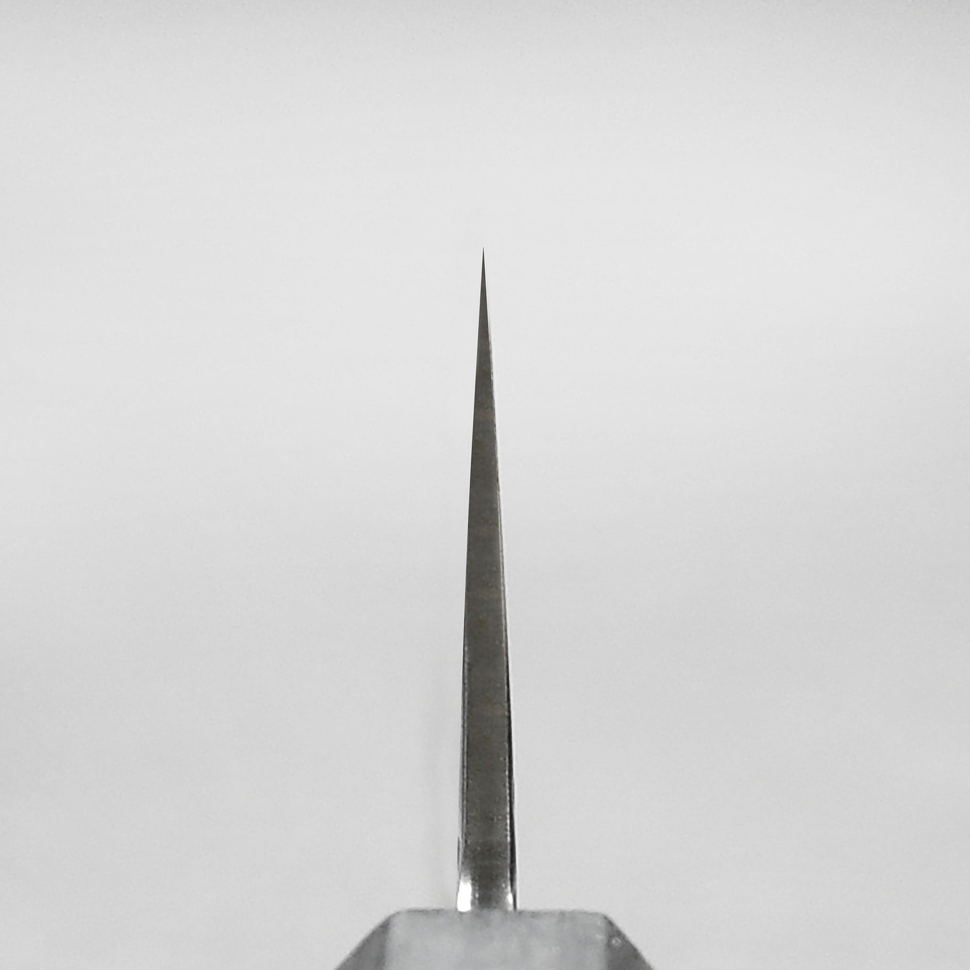 Close-up of the Ittetsu VG10 Hammered Damascus petty knife highlighting its beautiful blade.