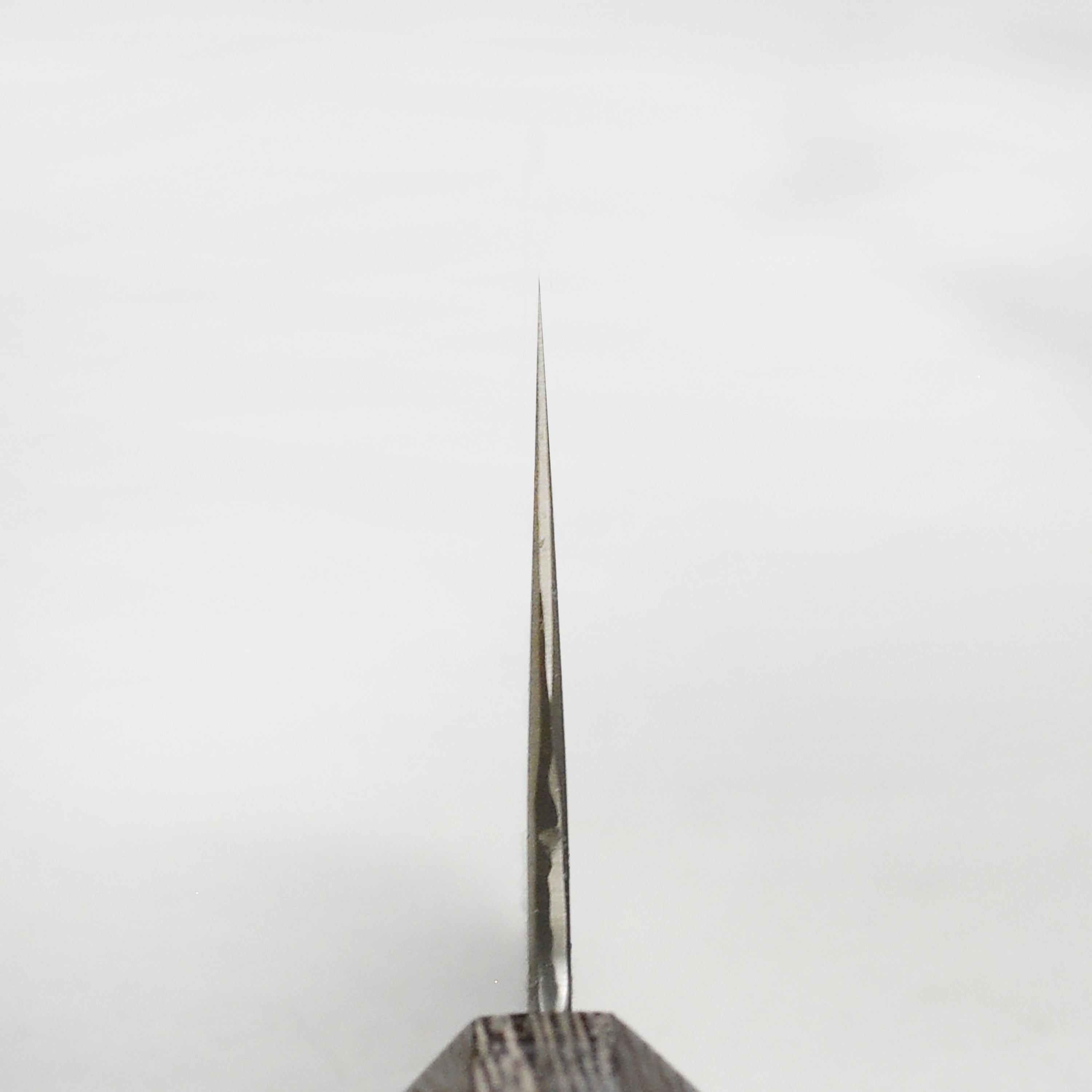 Takayuki coreless Damascus bunka knife blade close-up for precision cutting