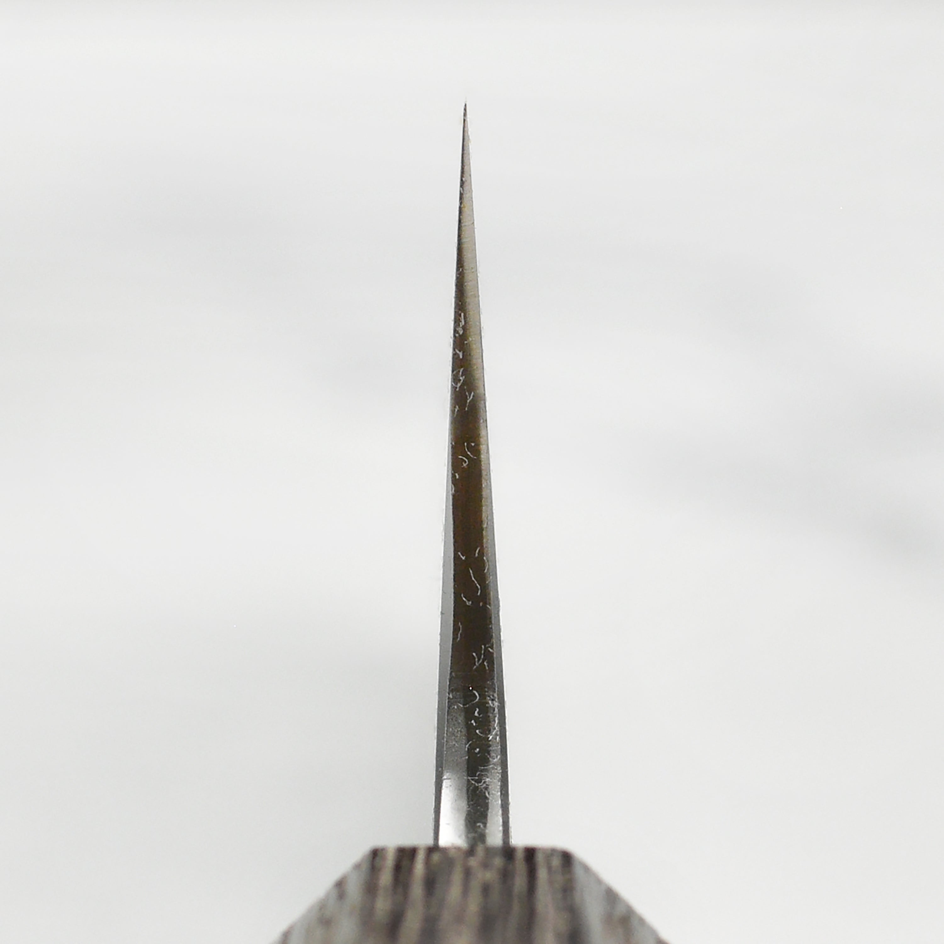 Takayuki Sanpou Japanese Gyuto knife with a focus on the hand-forged blade and sharp edge