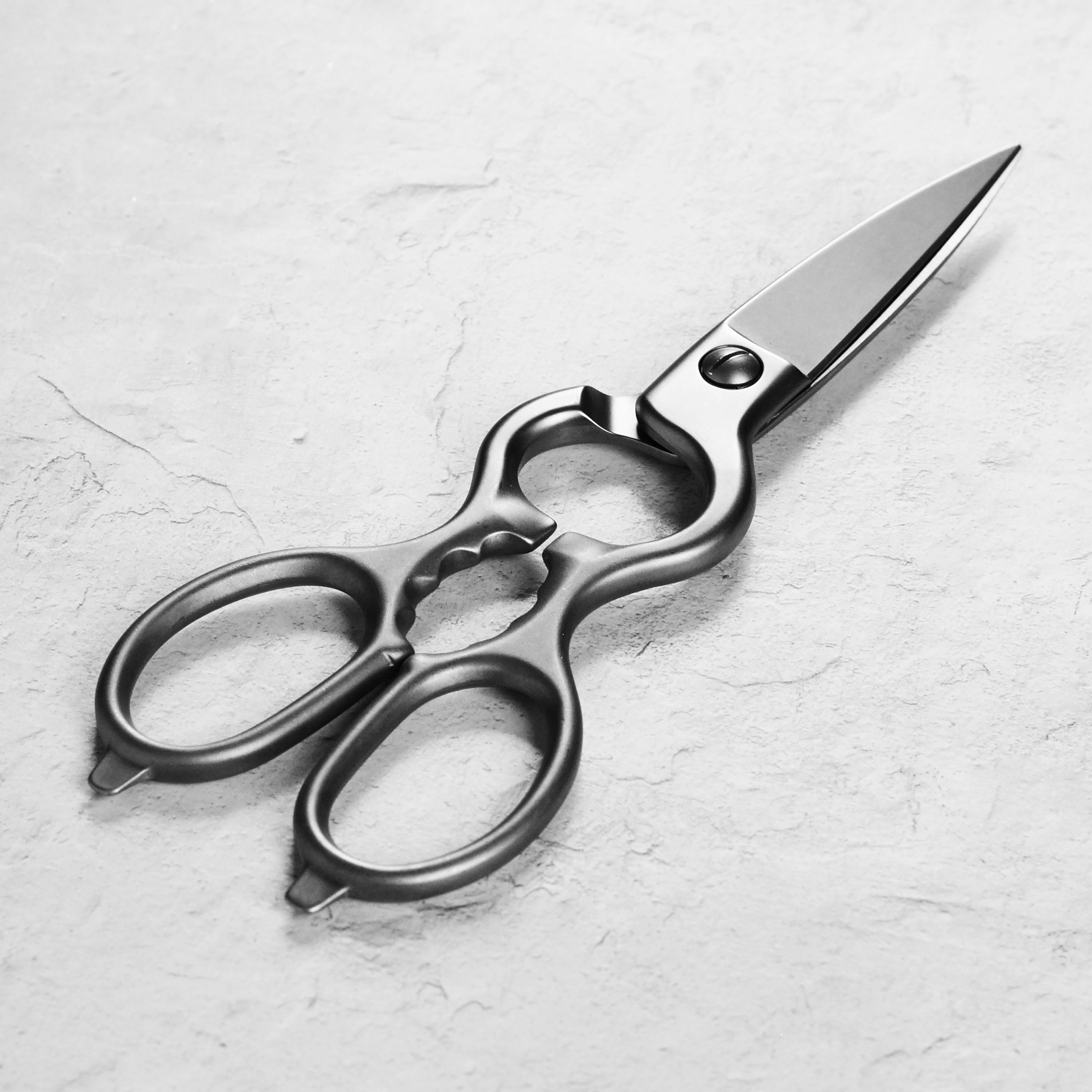 Close-up of Wusthof kitchen shears showcasing the brushed stainless steel finish