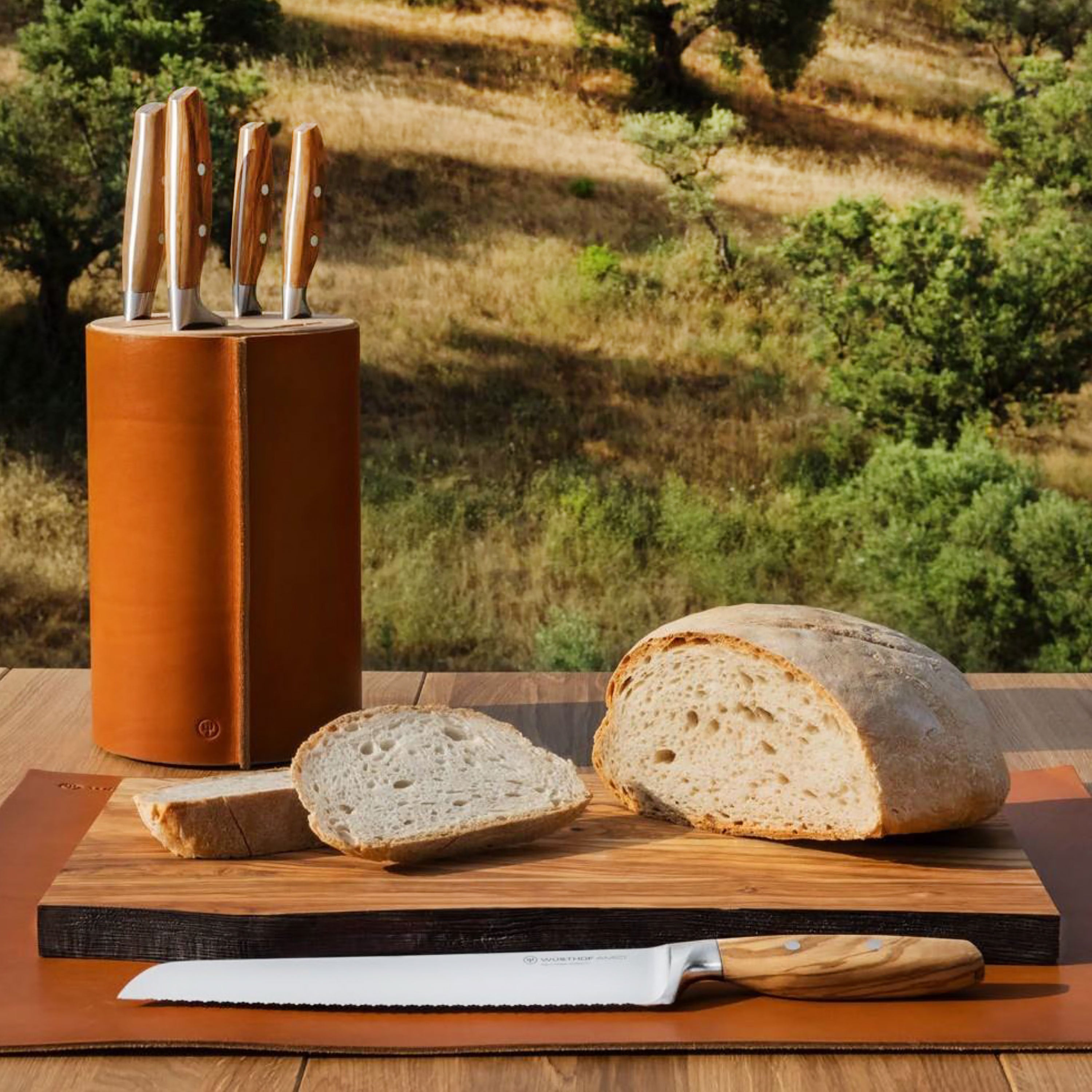 Wusthof Amici 6-piece chef knife set displayed on a wooden kitchen countertop.