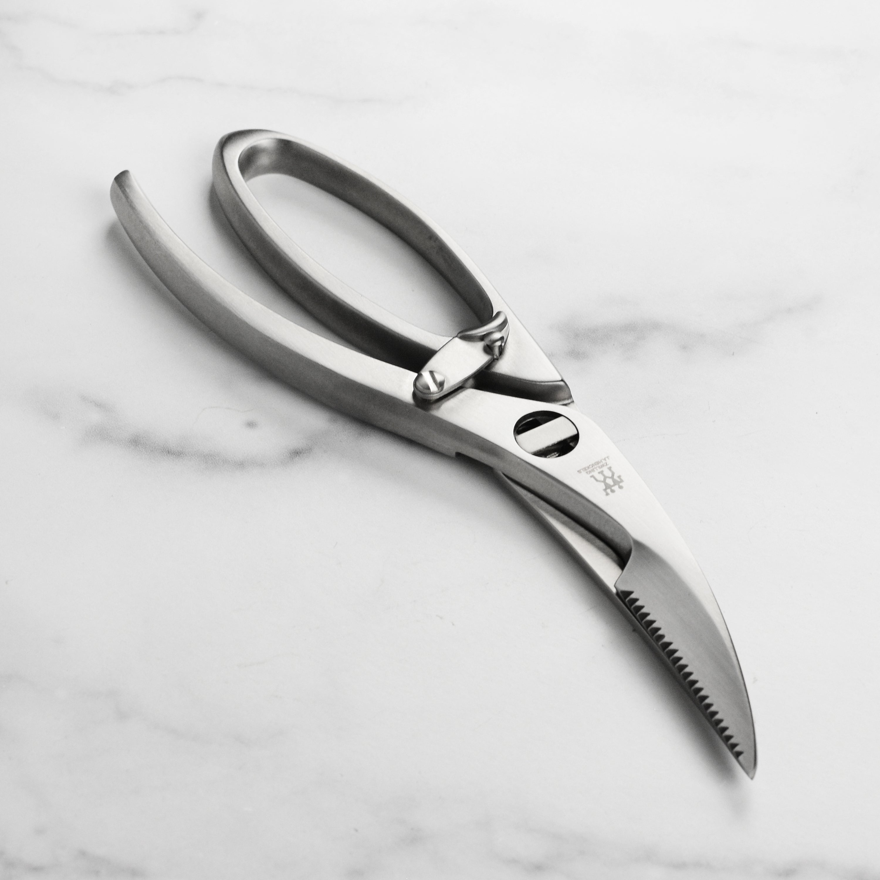 Close-up of premium stainless steel poultry shears showcasing micro-serrated blades.