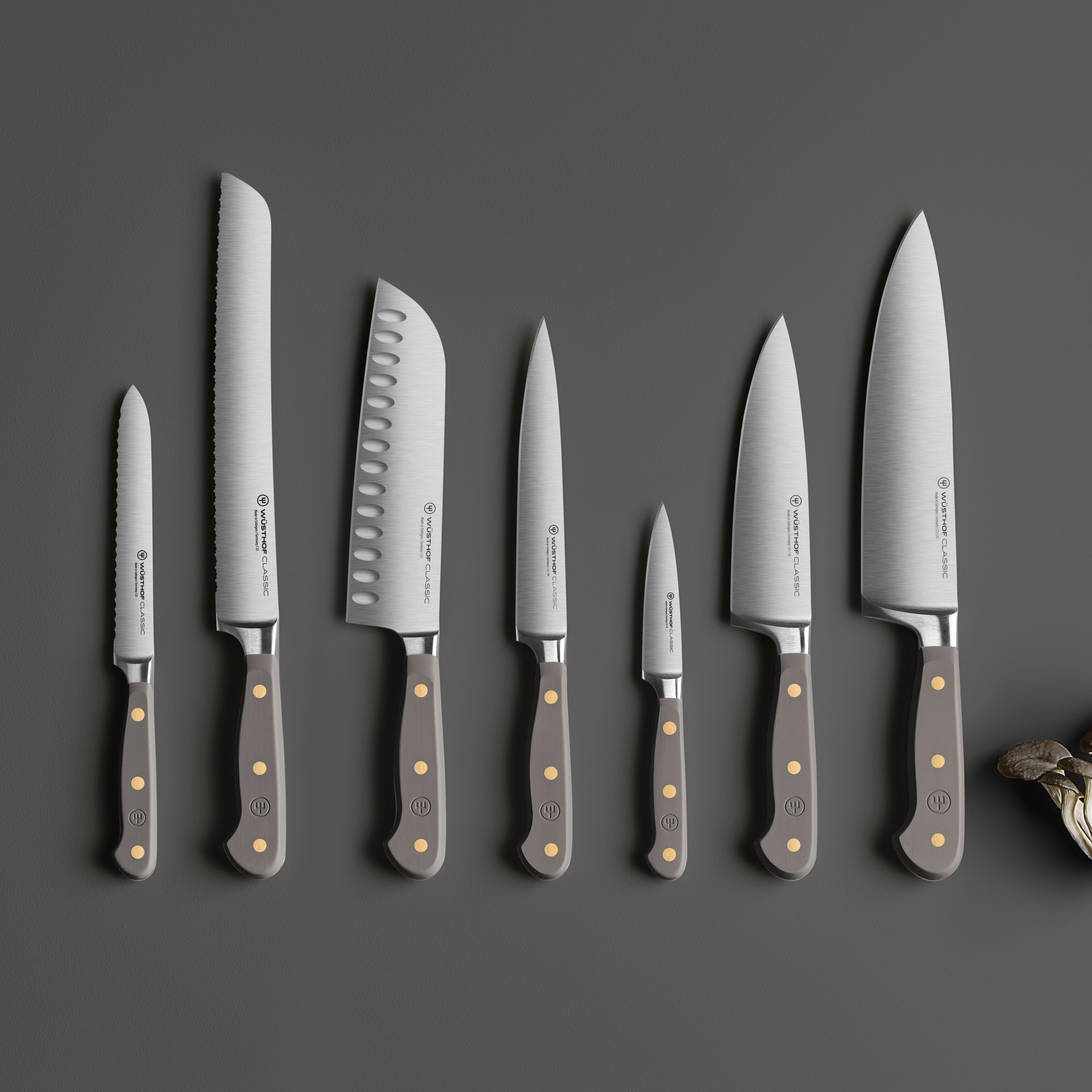 Lifestyle image of a chef using the Wusthof oyster knife to prepare fresh oysters.